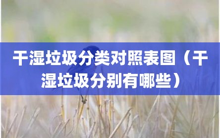 干湿垃圾分类对照表图（干湿垃圾分别有哪些）