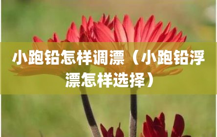 小跑铅怎样调漂（小跑铅浮漂怎样选择）