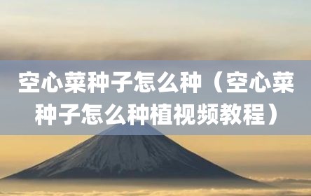空心菜种子怎么种（空心菜种子怎么种植视频教程）