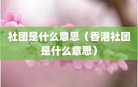 社团是什么意思（香港社团是什么意思）
