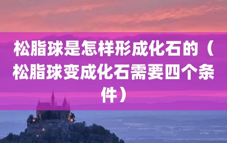 松脂球是怎样形成化石的（松脂球变成化石需要四个条件）