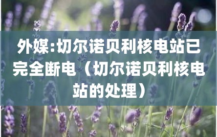 外媒:切尔诺贝利核电站已完全断电（切尔诺贝利核电站的处理）