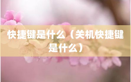 快捷键是什么（关机快捷键是什么）