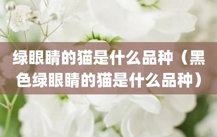 绿眼睛的猫是什么品种（黑色绿眼睛的猫是什么品种）