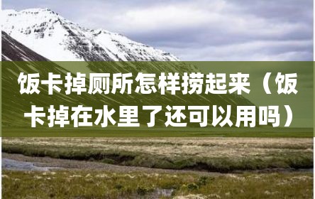 饭卡掉厕所怎样捞起来（饭卡掉在水里了还可以用吗）