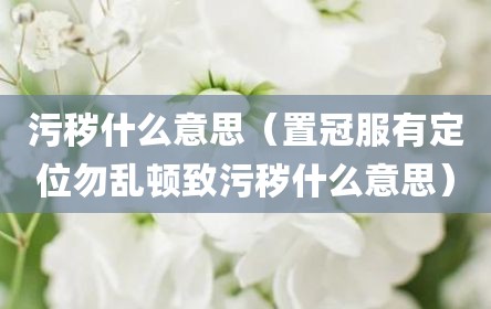 污秽什么意思（置冠服有定位勿乱顿致污秽什么意思）