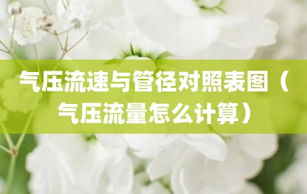 气压流速与管径对照表图（气压流量怎么计算）