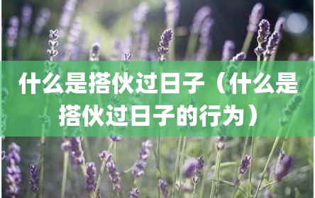 什么是搭伙过日子（什么是搭伙过日子的行为）
