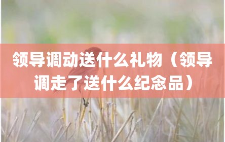 领导调动送什么礼物（领导调走了送什么纪念品）
