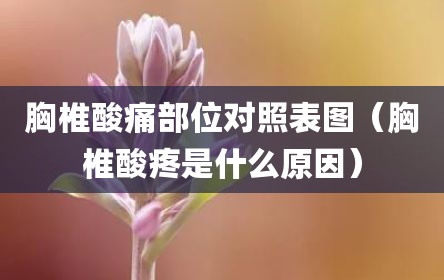 胸椎酸痛部位对照表图（胸椎酸疼是什么原因）