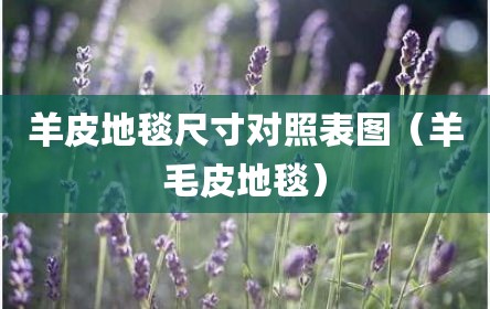 羊皮地毯尺寸对照表图（羊毛皮地毯）