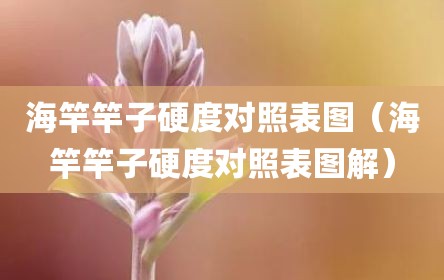 海竿竿子硬度对照表图（海竿竿子硬度对照表图解）