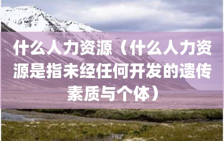 什么人力资源（什么人力资源是指未经任何开发的遗传素质与个体）