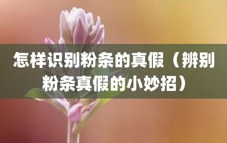 怎样识别粉条的真假（辨别粉条真假的小妙招）