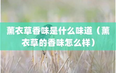薰衣草香味是什么味道（薰衣草的香味怎么样）