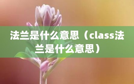 法兰是什么意思（class法兰是什么意思）