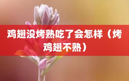 鸡翅没烤熟吃了会怎样（烤鸡翅不熟）