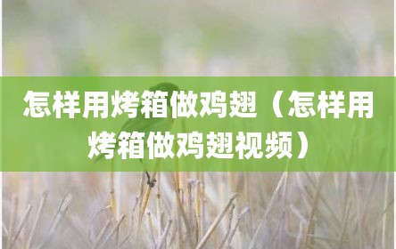 怎样用烤箱做鸡翅（怎样用烤箱做鸡翅视频）