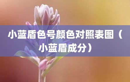 小蓝盾色号颜色对照表图（小蓝盾成分）