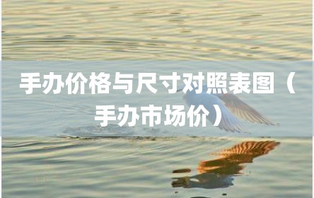 手办价格与尺寸对照表图（手办市场价）