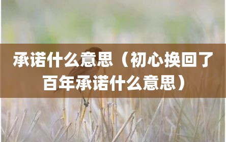 承诺什么意思（初心换回了百年承诺什么意思）