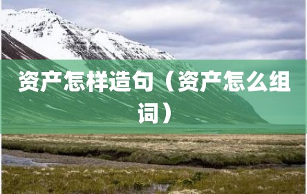 资产怎样造句（资产怎么组词）