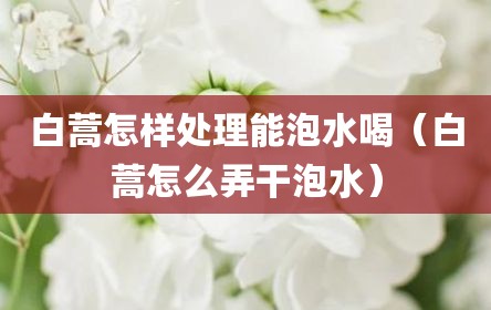 白蒿怎样处理能泡水喝（白蒿怎么弄干泡水）
