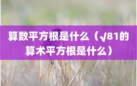 算数平方根是什么（√81的算术平方根是什么）