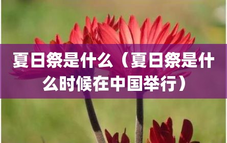 夏日祭是什么（夏日祭是什么时候在中国举行）