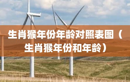 生肖猴年份年龄对照表图（生肖猴年份和年龄）