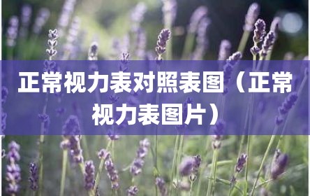 正常视力表对照表图（正常视力表图片）