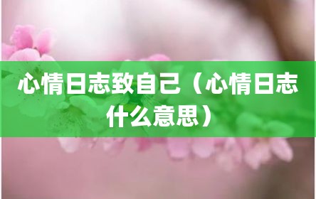 心情日志致自己（心情日志什么意思）