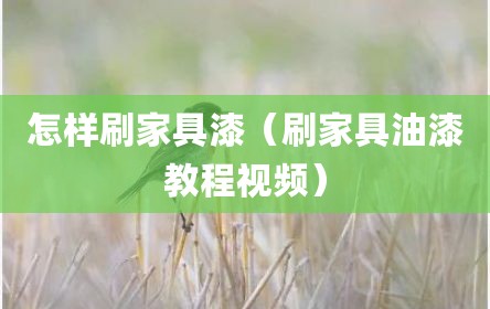 怎样刷家具漆（刷家具油漆教程视频）