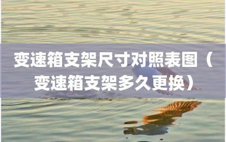 变速箱支架尺寸对照表图（变速箱支架多久更换）