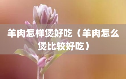 羊肉怎样煲好吃（羊肉怎么煲比较好吃）