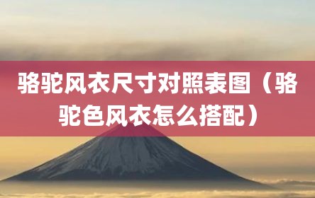 骆驼风衣尺寸对照表图（骆驼色风衣怎么搭配）