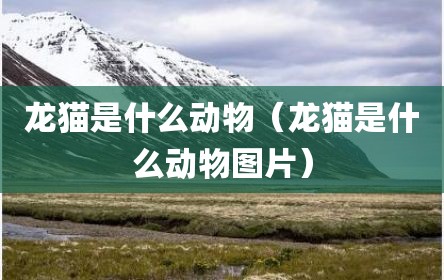 龙猫是什么动物（龙猫是什么动物图片）