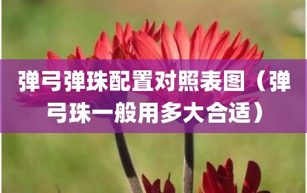 弹弓弹珠配置对照表图（弹弓珠一般用多大合适）