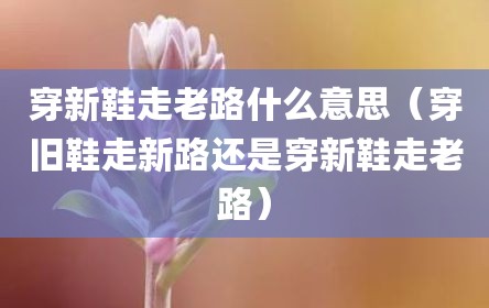 穿新鞋走老路什么意思（穿旧鞋走新路还是穿新鞋走老路）