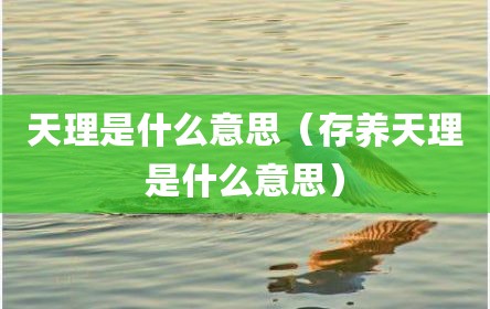 天理是什么意思（存养天理是什么意思）