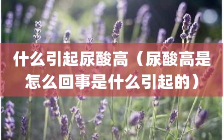 什么引起尿酸高（尿酸高是怎么回事是什么引起的）