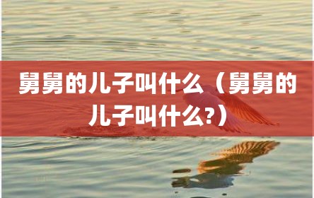 舅舅的儿子叫什么（舅舅的儿子叫什么?）