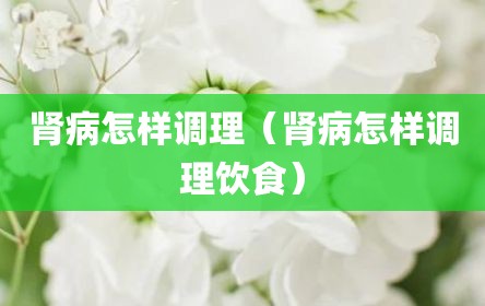 肾病怎样调理（肾病怎样调理饮食）