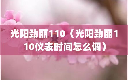 光阳劲丽110（光阳劲丽110仪表时间怎么调）