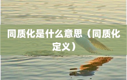 同质化是什么意思（同质化定义）