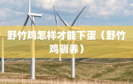 野竹鸡怎样才能下蛋（野竹鸡驯养）