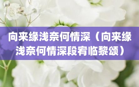 向来缘浅奈何情深（向来缘浅奈何情深段宥临黎颂）