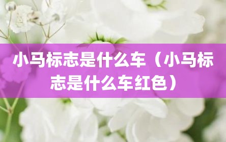 小马标志是什么车（小马标志是什么车红色）