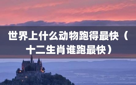 世界上什么动物跑得最快（十二生肖谁跑最快）