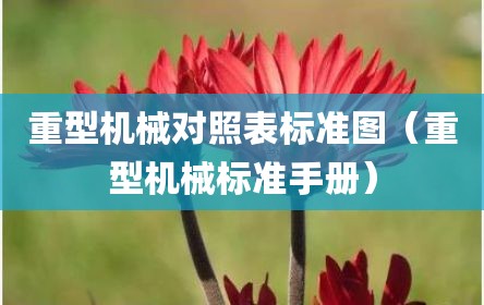 重型机械对照表标准图（重型机械标准手册）